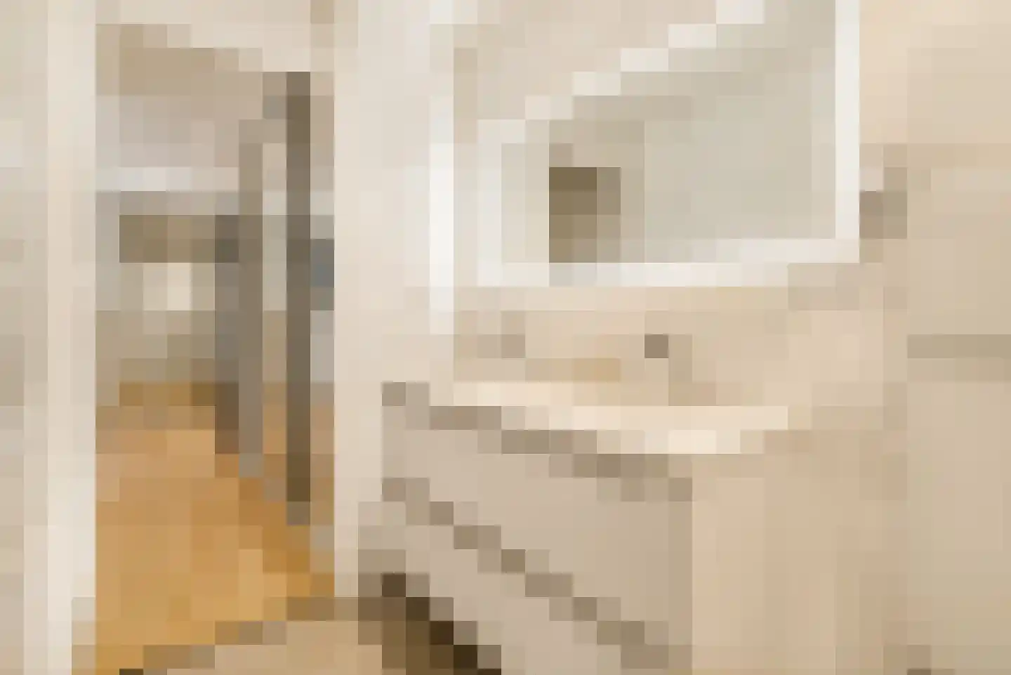 Gevers Deynootweg 582 Den Haag thumbnail 56