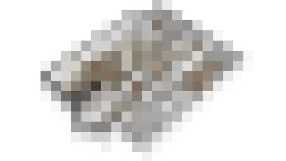 Gevers Deynootweg 582 Den Haag thumbnail 58