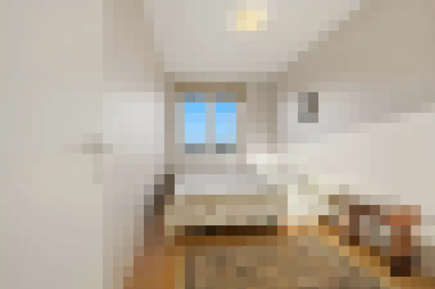 Gevers Deynootweg 59 C Den Haag thumbnail 31