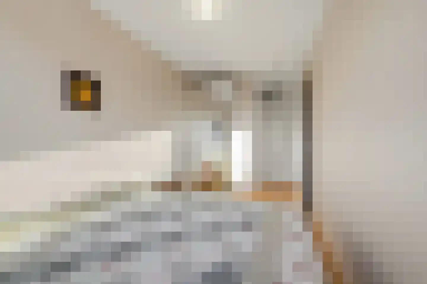 Gevers Deynootweg 59 C Den Haag thumbnail 32