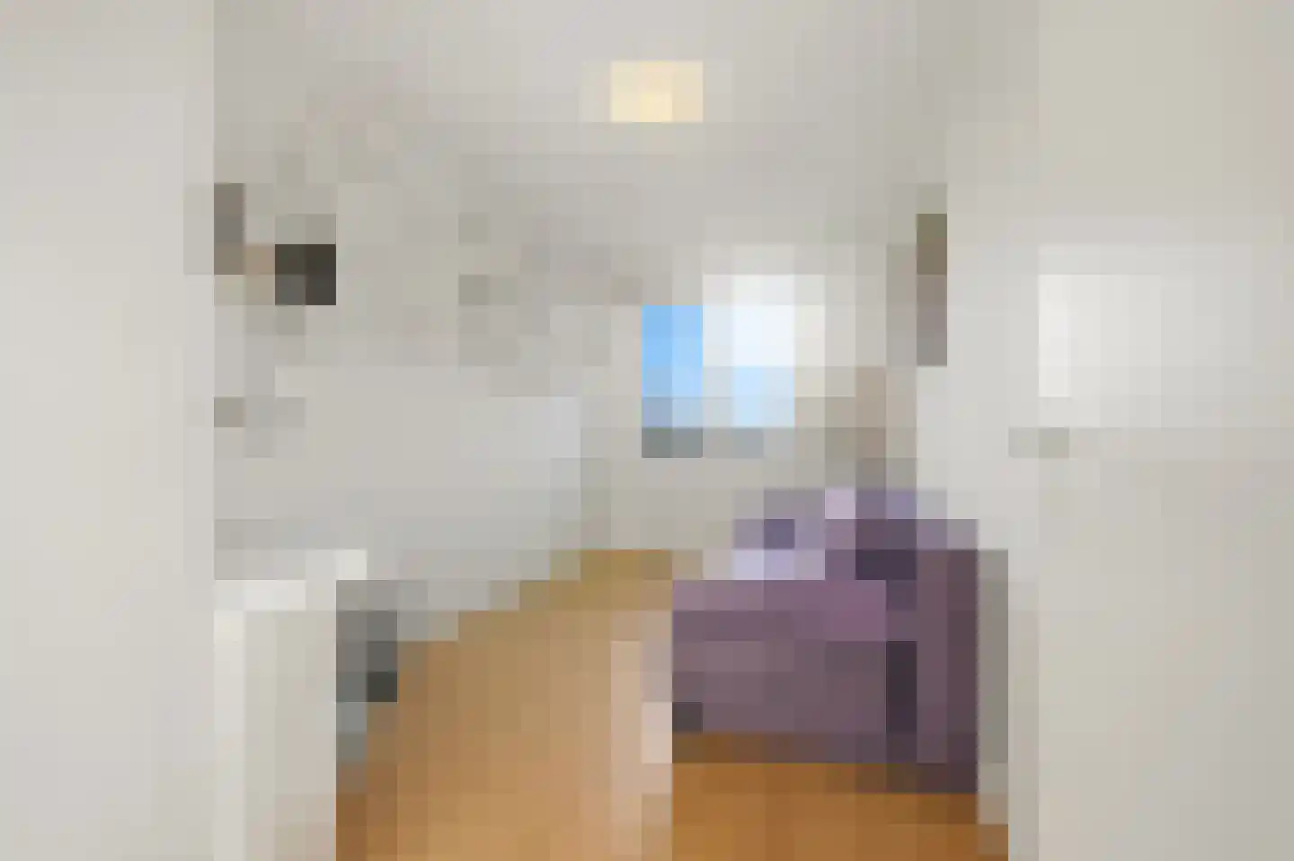 Gevers Deynootweg 59 C Den Haag thumbnail 34