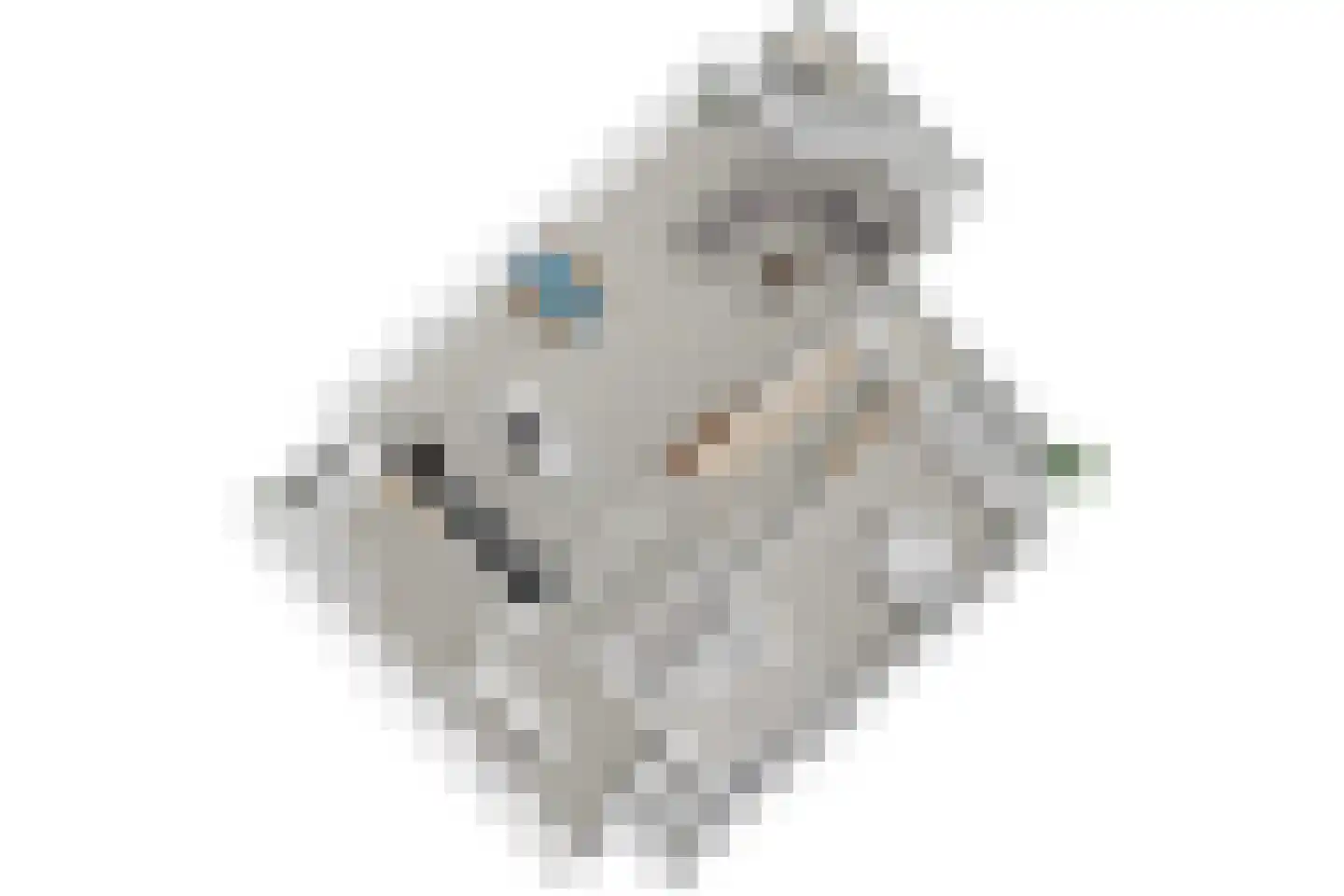 Gevers Deynootweg 638 Den Haag thumbnail 69