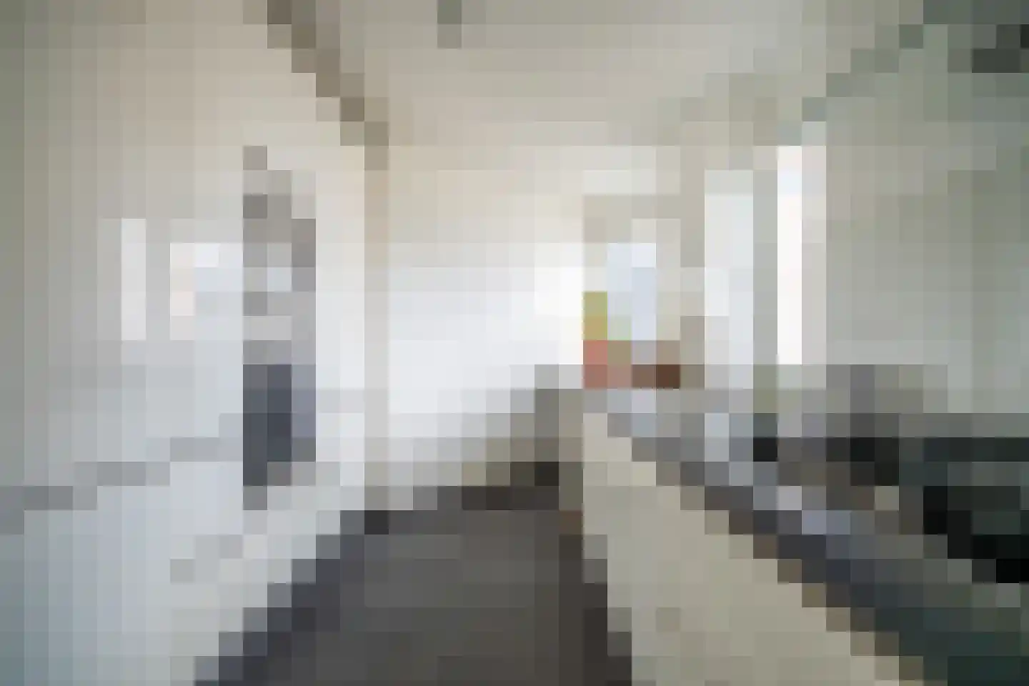 Gevers Deynootweg 648 Den Haag thumbnail 10