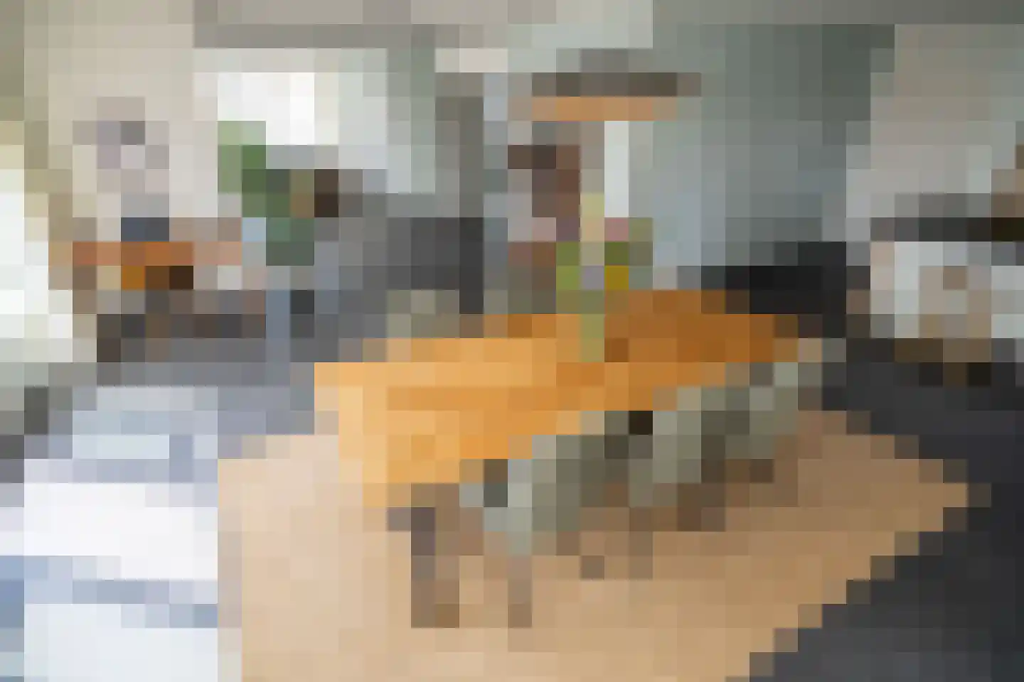 Gevers Deynootweg 648 Den Haag thumbnail 21