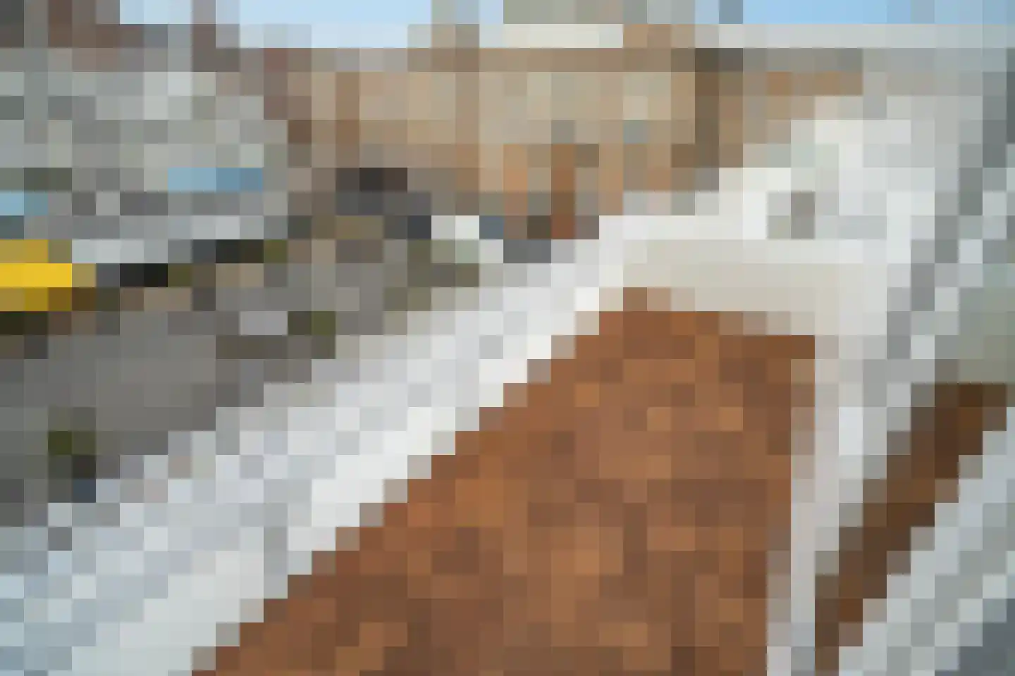 Gevers Deynootweg 648 Den Haag thumbnail 25