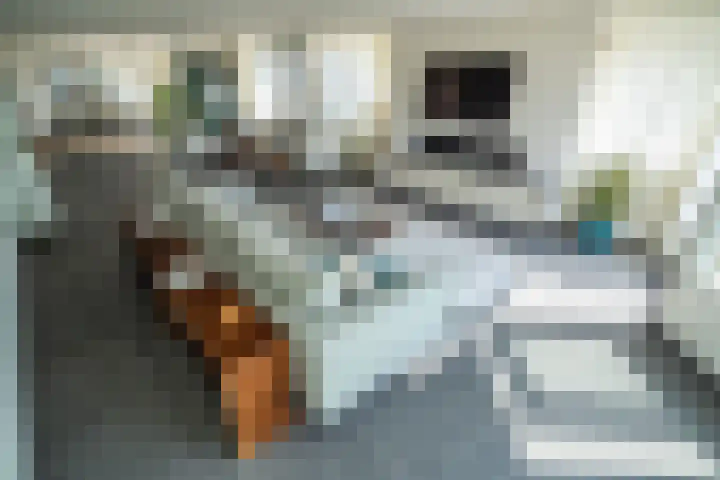 Gevers Deynootweg 648 Den Haag thumbnail 26