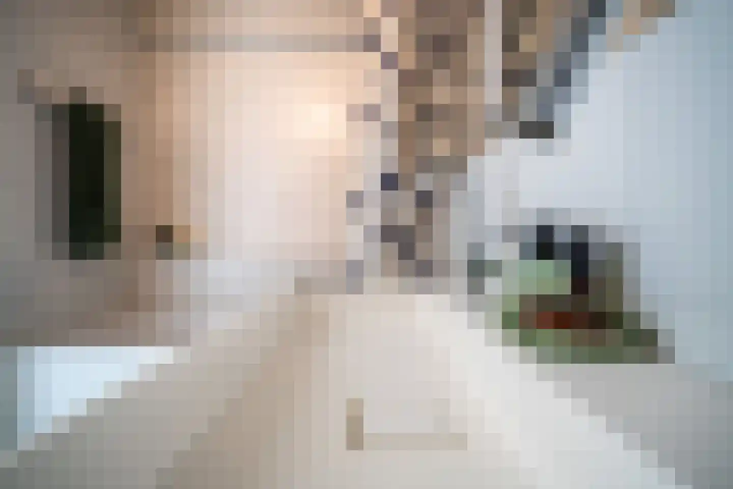 Gevers Deynootweg 648 Den Haag thumbnail 38