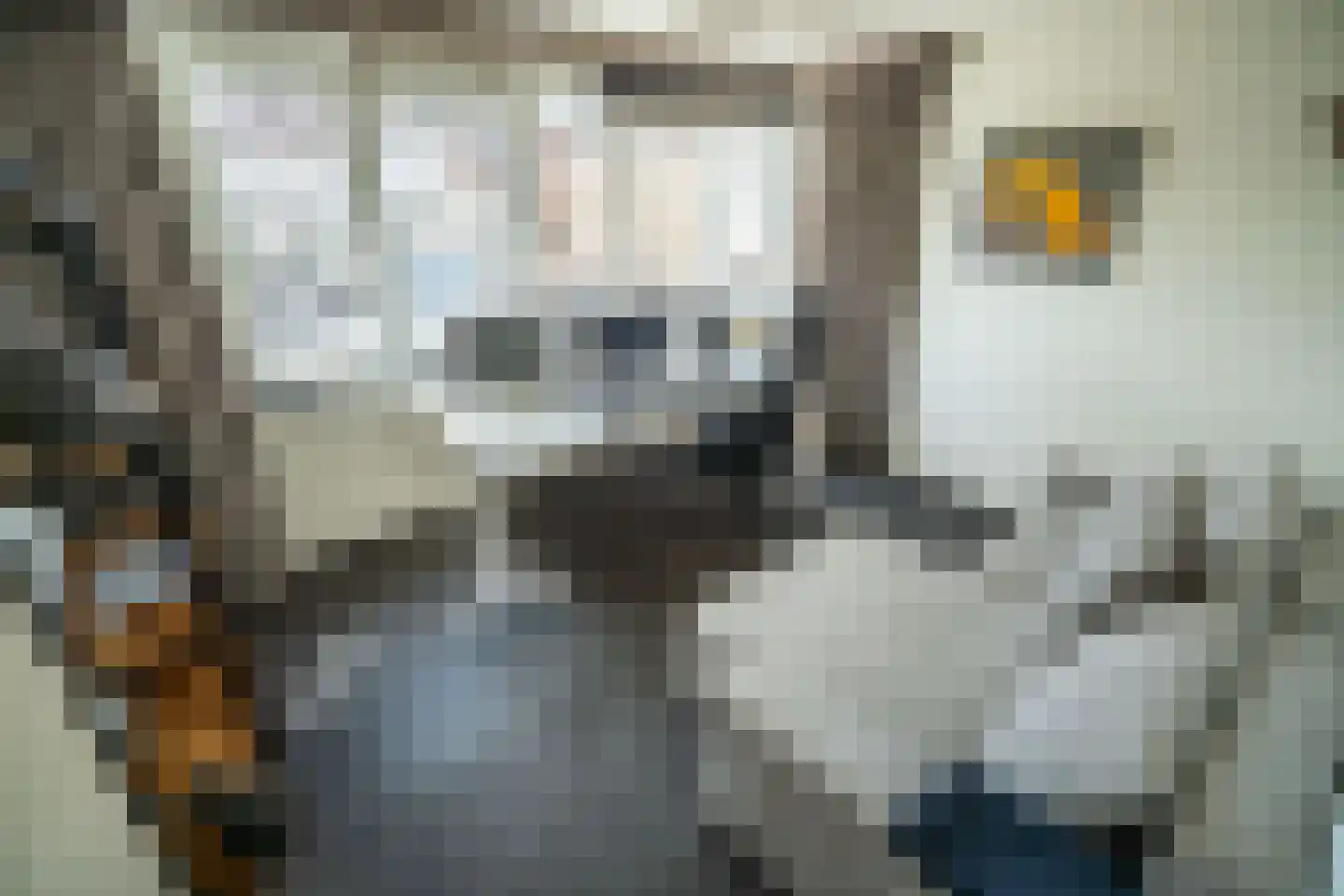 Gevers Deynootweg 648 Den Haag thumbnail 46