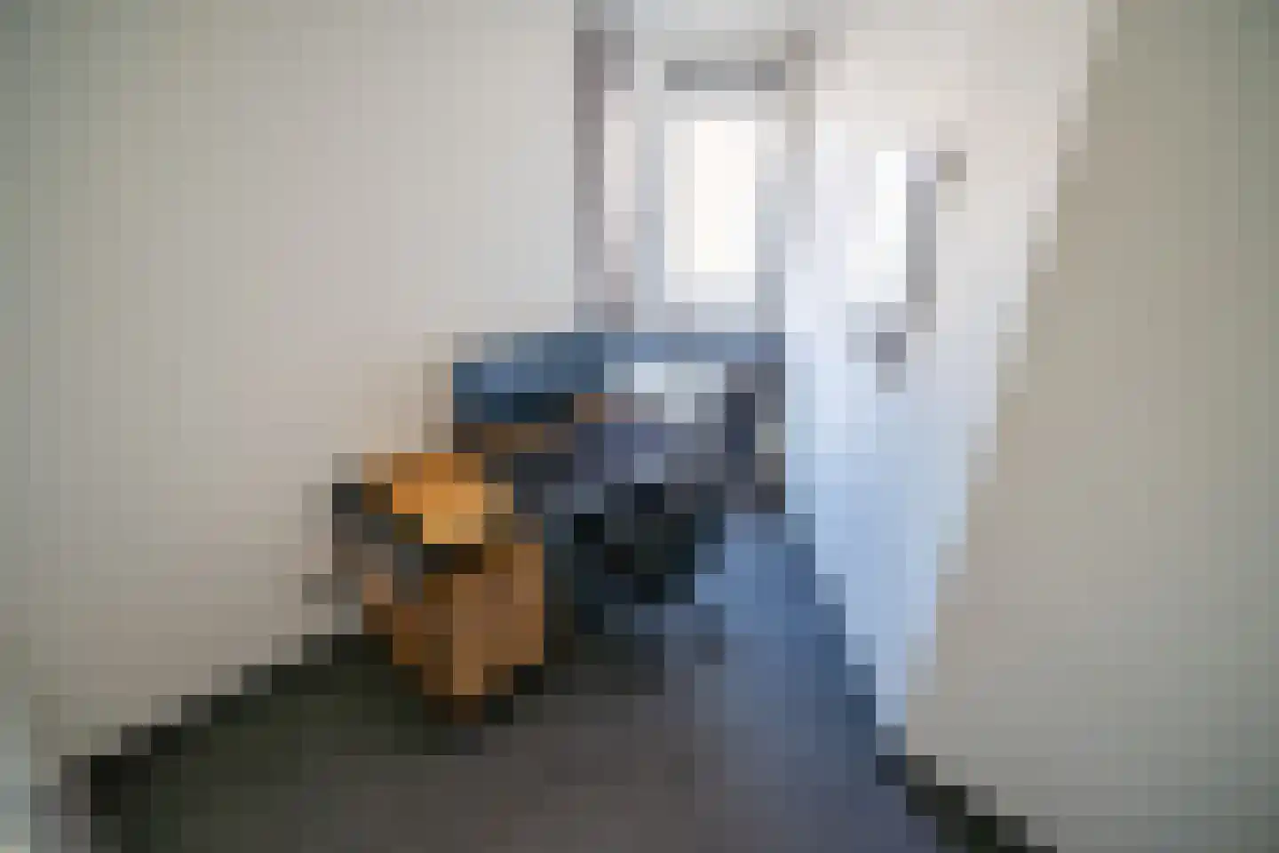 Gevers Deynootweg 648 Den Haag thumbnail 51