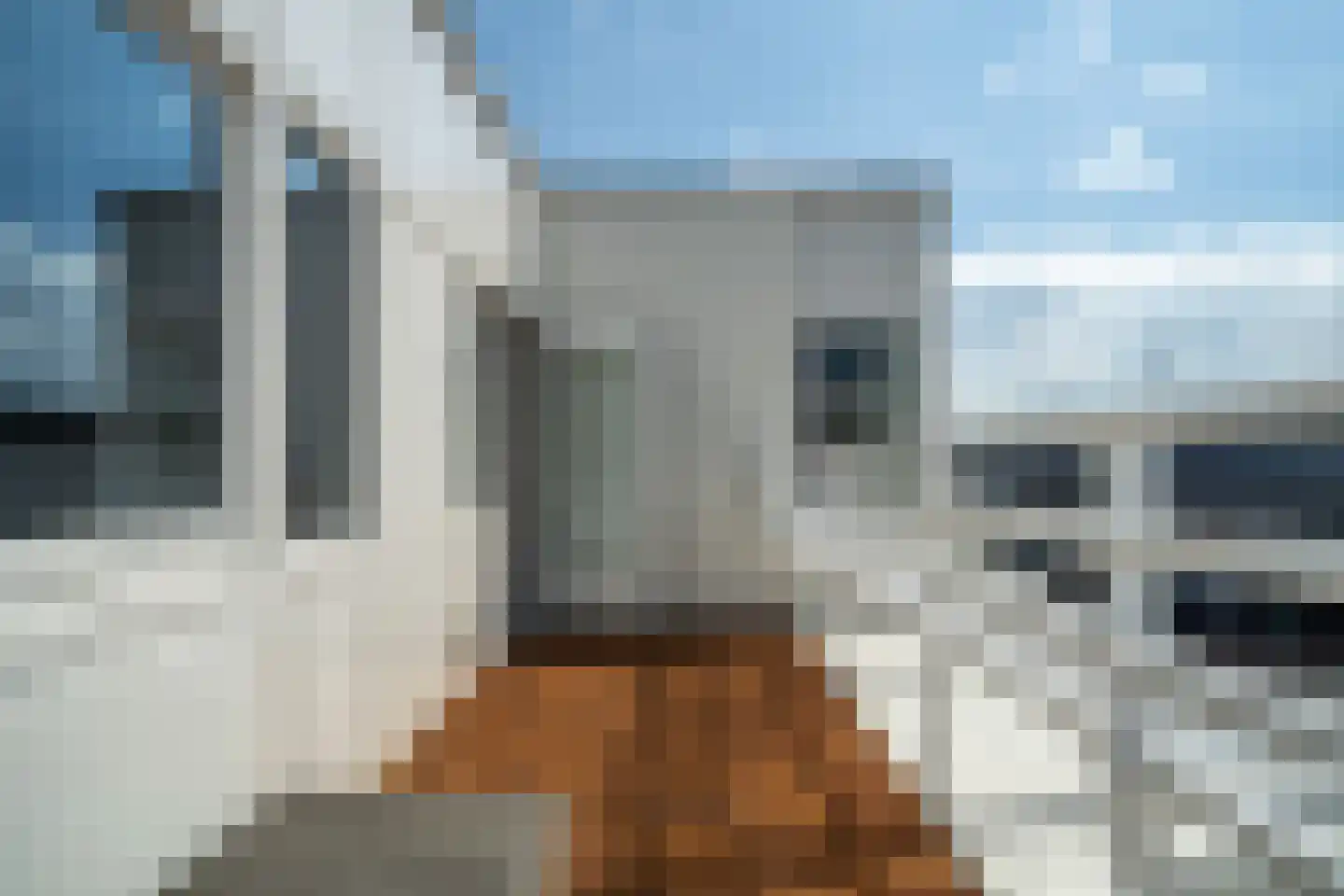 Gevers Deynootweg 648 Den Haag thumbnail 57