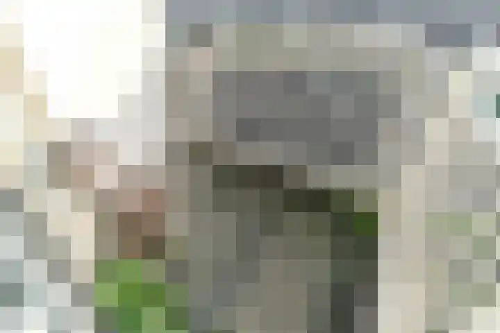 Gevers Deynootweg 676 Den Haag thumbnail 20