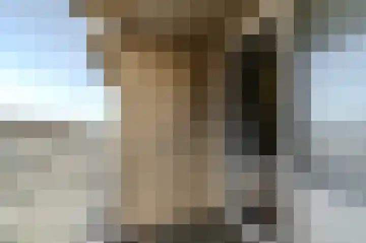 Gevers Deynootweg 676 Den Haag thumbnail 33