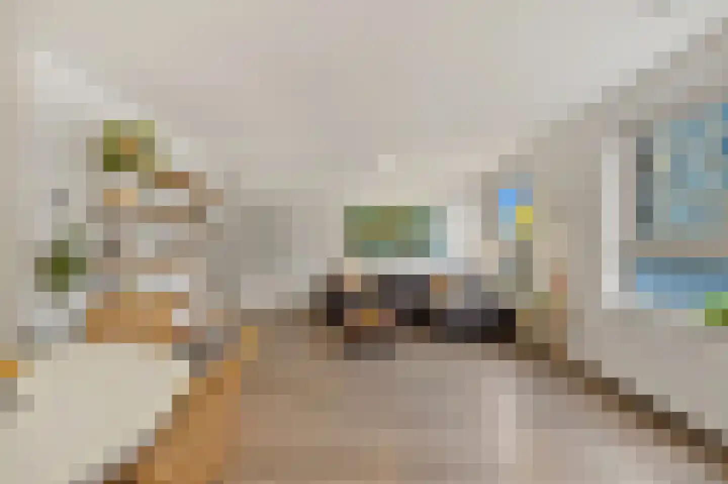 Gevers Deynootweg 688 Den Haag thumbnail 6