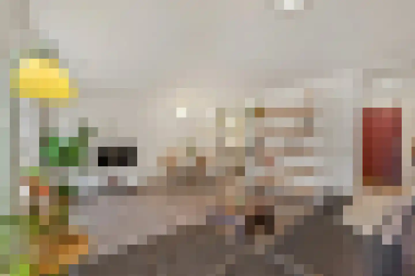 Gevers Deynootweg 688 Den Haag thumbnail 7
