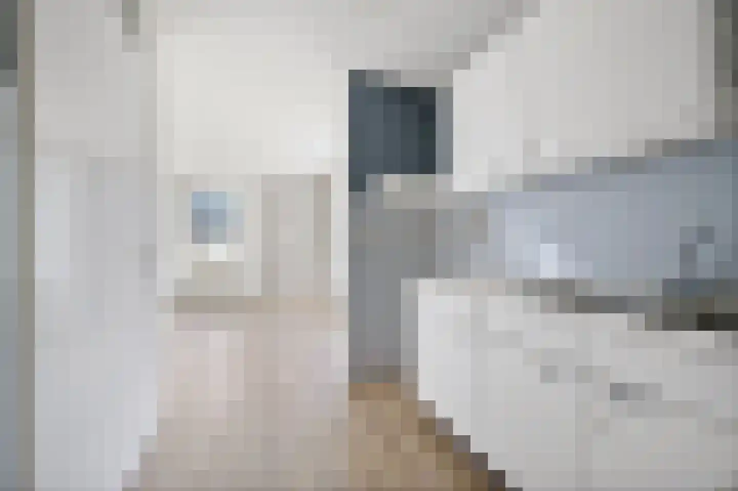 Gevers Deynootweg 692 Den Haag thumbnail 15