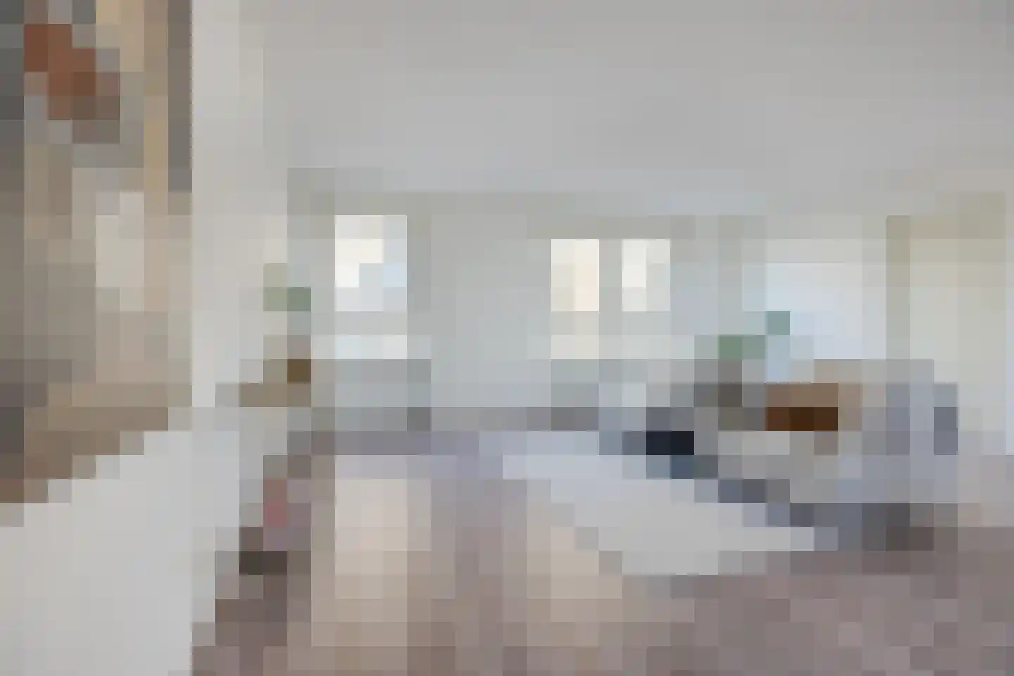Gevers Deynootweg 704 Den Haag thumbnail 14