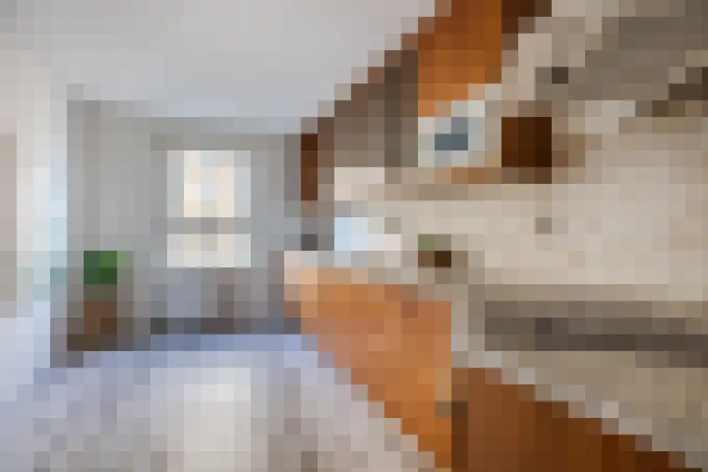 Gevers Deynootweg 704 Den Haag thumbnail 22