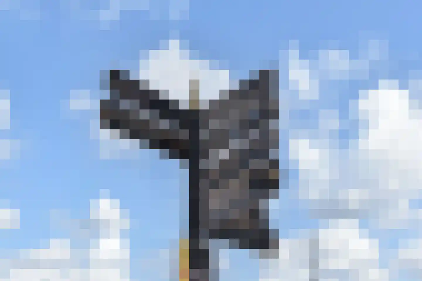 Gevers Deynootweg 766 Den Haag thumbnail 37