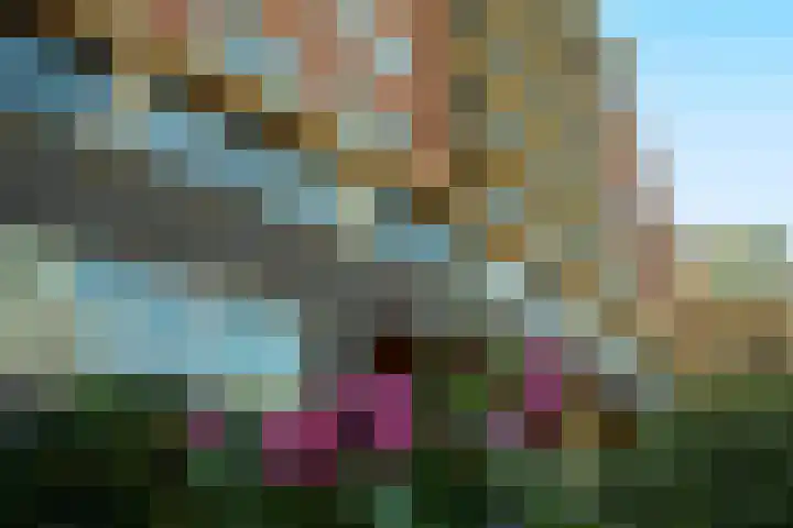 Gevers Deynootweg 79 C Den Haag thumbnail 29