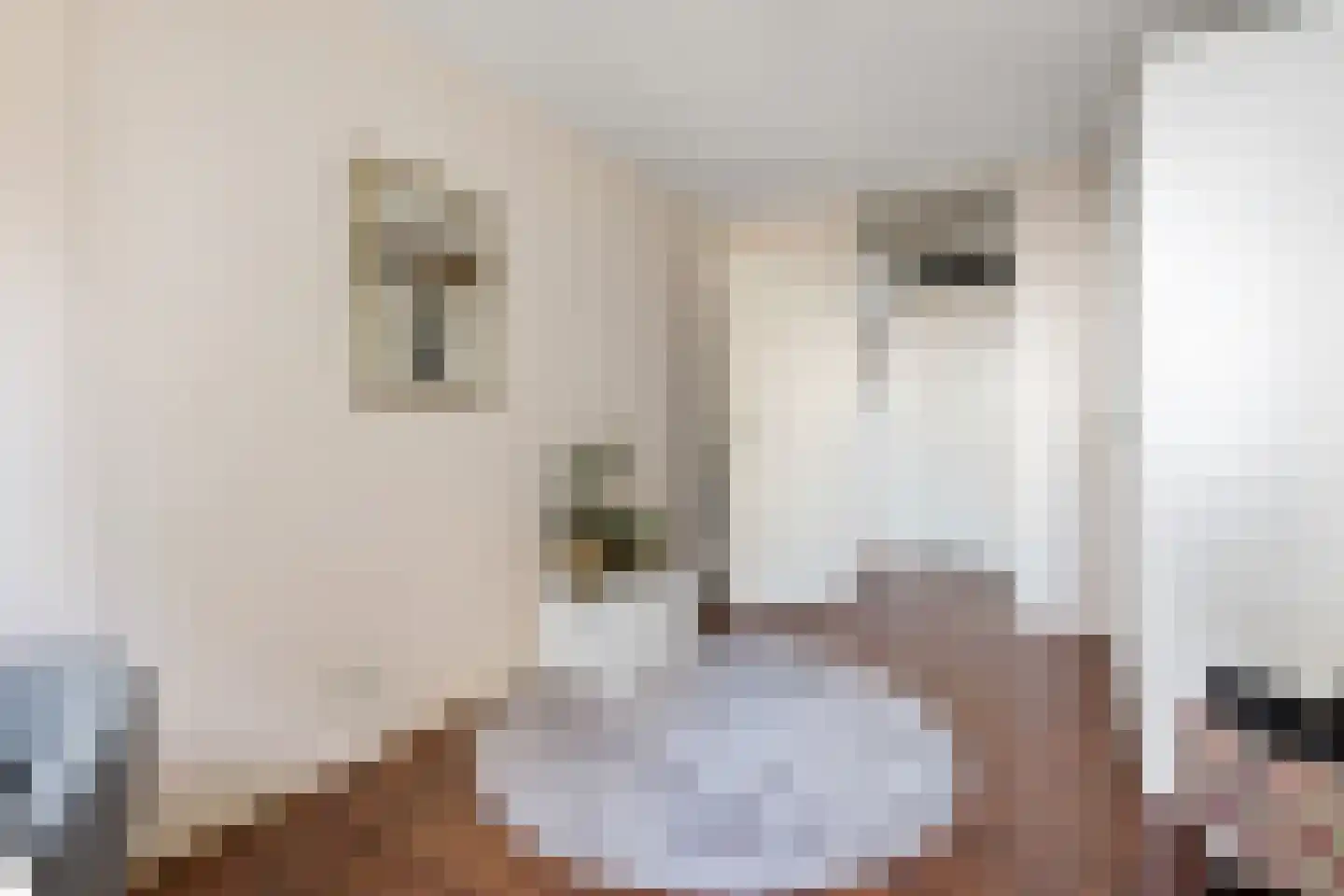 Gevers Deynootweg 918 Den Haag thumbnail 21
