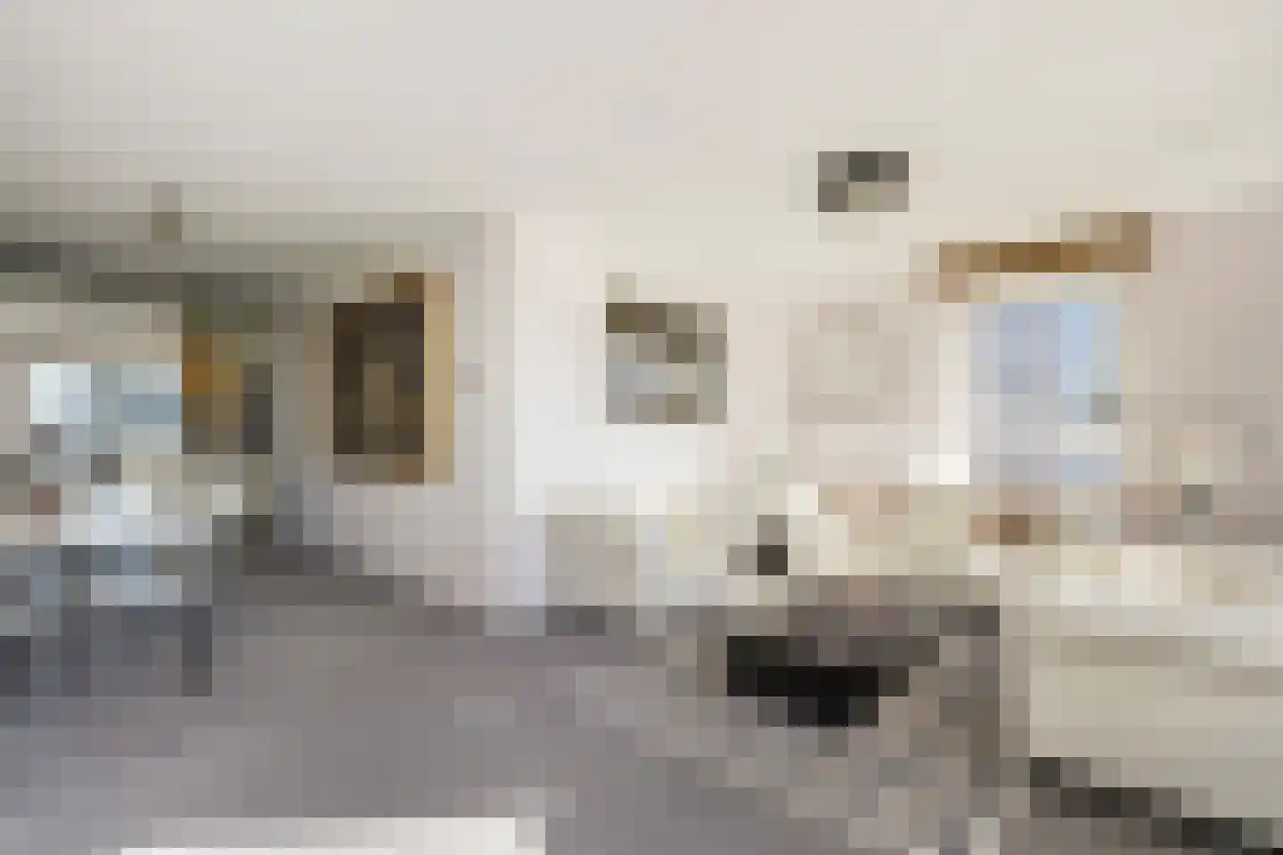 Gevers Deynootweg 924 Den Haag thumbnail 7