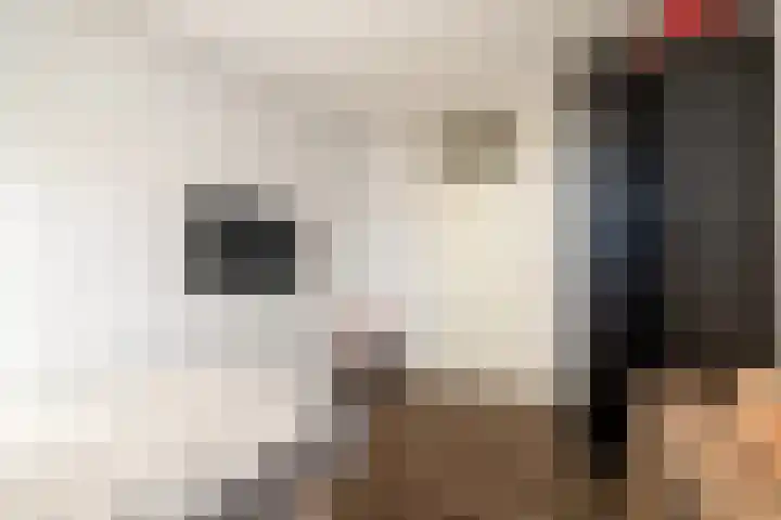 Gevers Deynootweg 930 Den Haag thumbnail 21