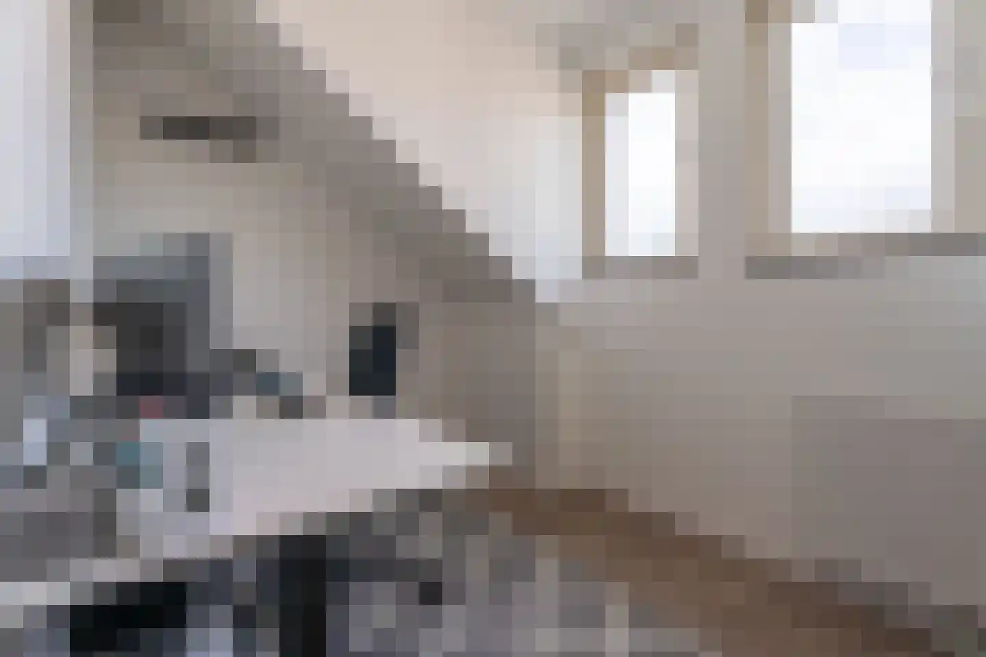 Geversstraat 10 Oegstgeest thumbnail 35