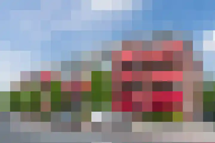 Geversstraat 15 B Oegstgeest thumbnail 4