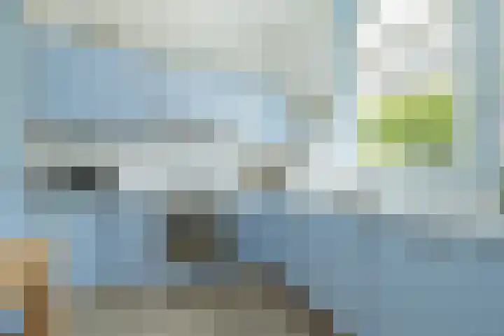 Geversstraat 3 Oegstgeest thumbnail 10