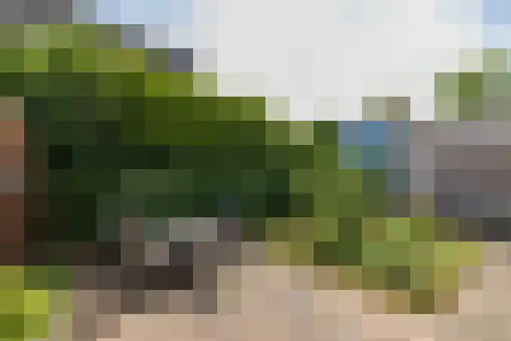 Geversstraat 3 Oegstgeest thumbnail 20