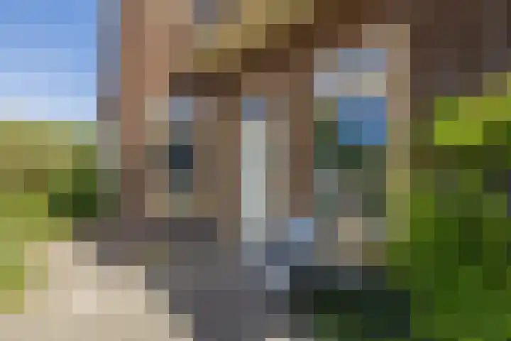 Geversstraat 3 Oegstgeest thumbnail 4