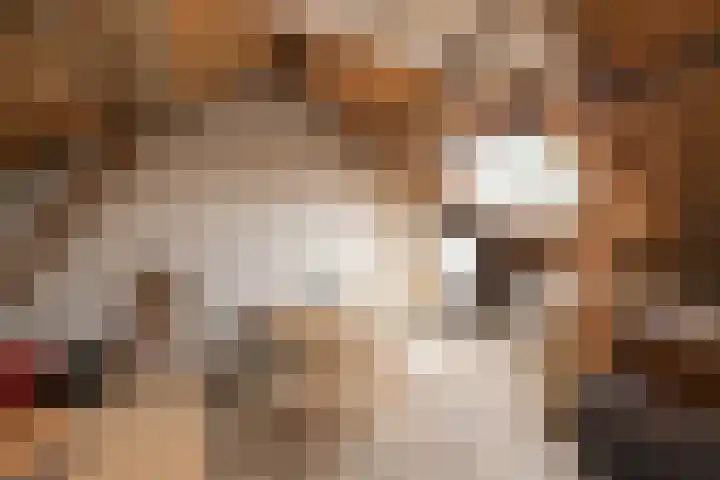 Geversstraat 3 Oegstgeest thumbnail 41