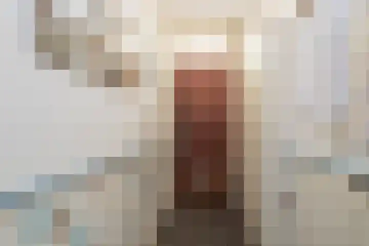 Geversstraat 3 Oegstgeest thumbnail 5