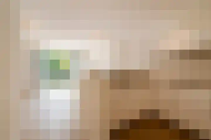 Geversstraat 55 A Oegstgeest thumbnail 8