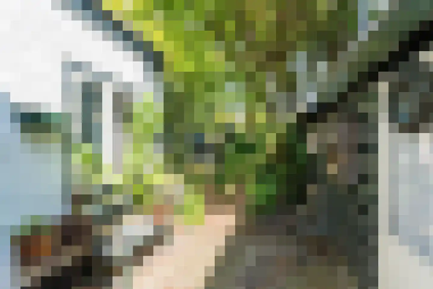 Geversstraat 69 Oegstgeest thumbnail 36