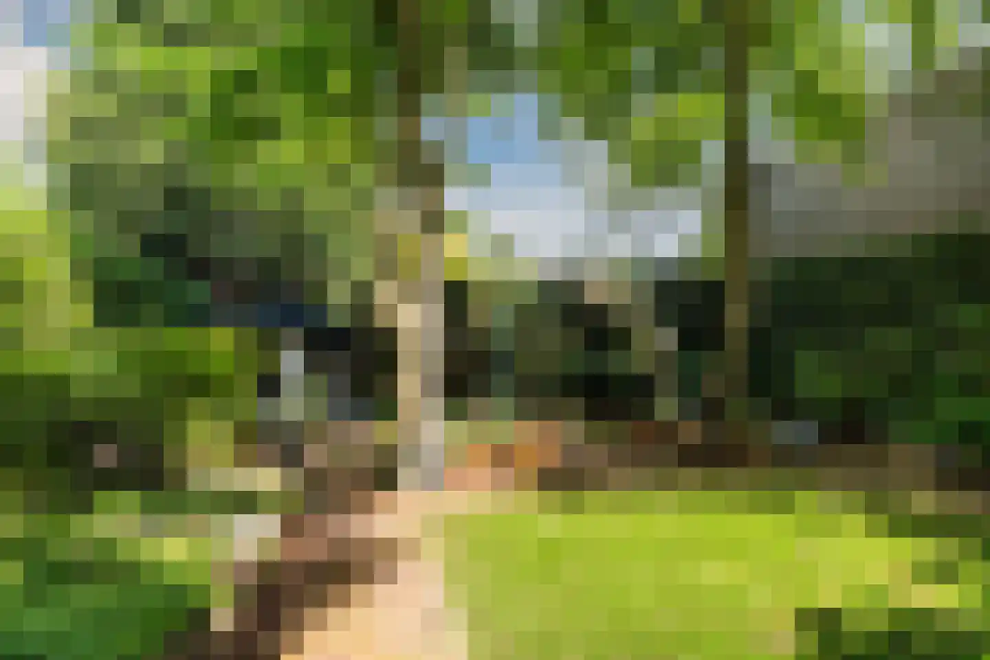 Geversstraat 69 Oegstgeest thumbnail 39