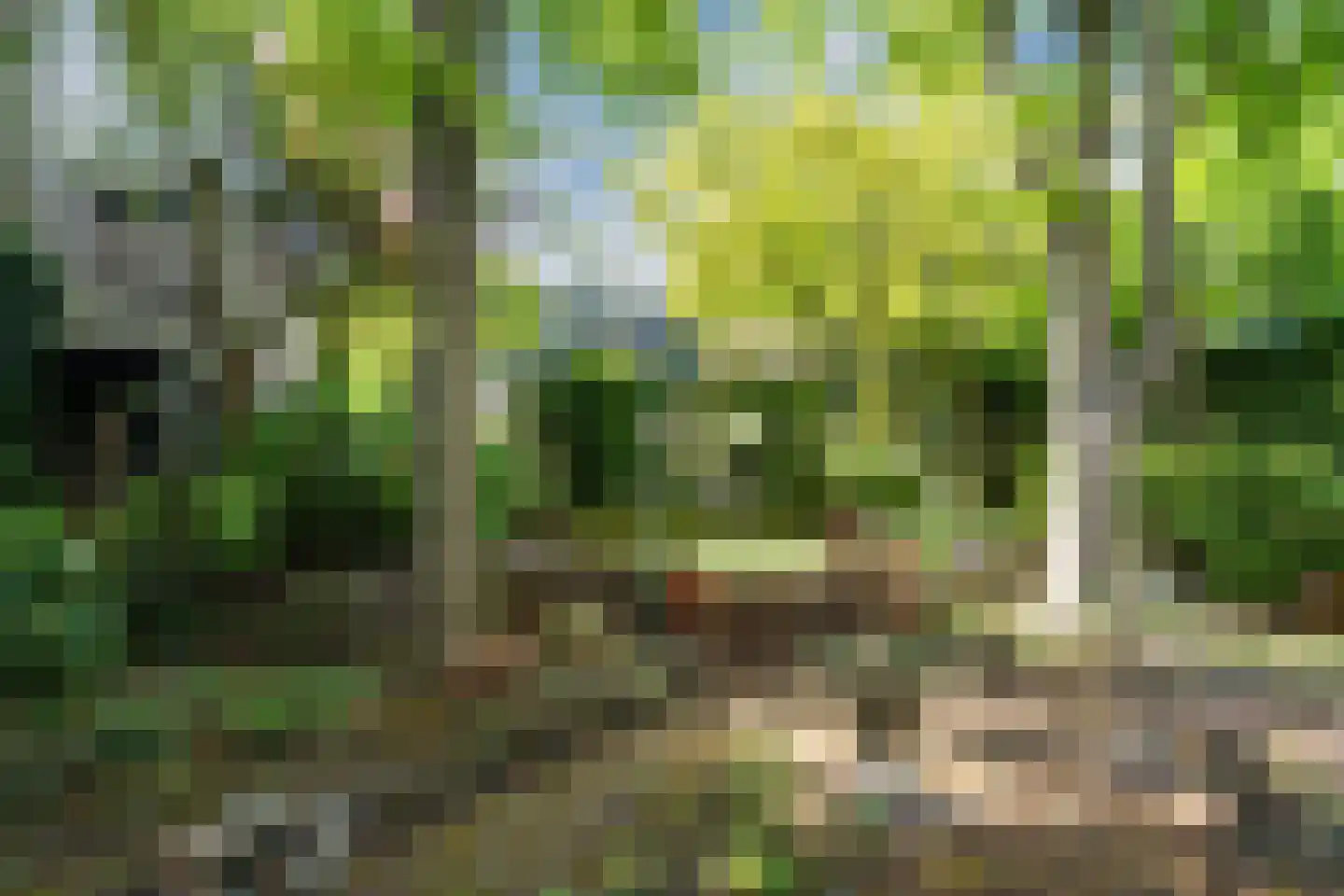 Geversstraat 69 Oegstgeest thumbnail 47