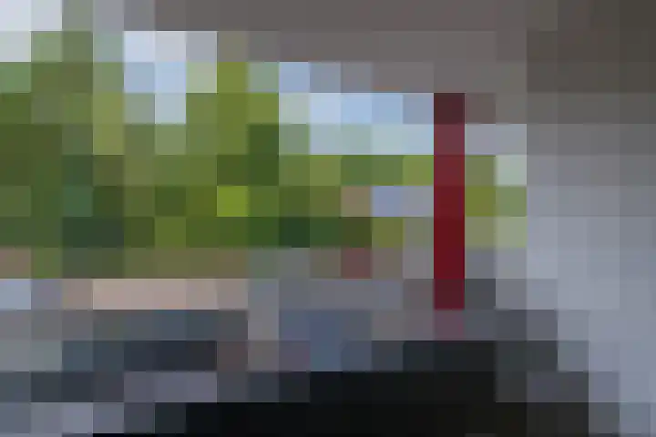 Geversstraat 77 A Oegstgeest thumbnail 33