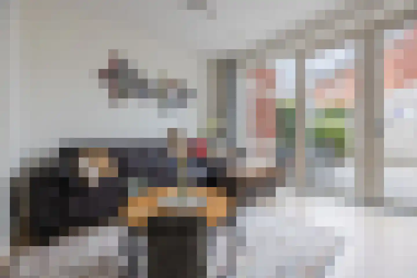 Geversstraat 8 Oegstgeest thumbnail 12