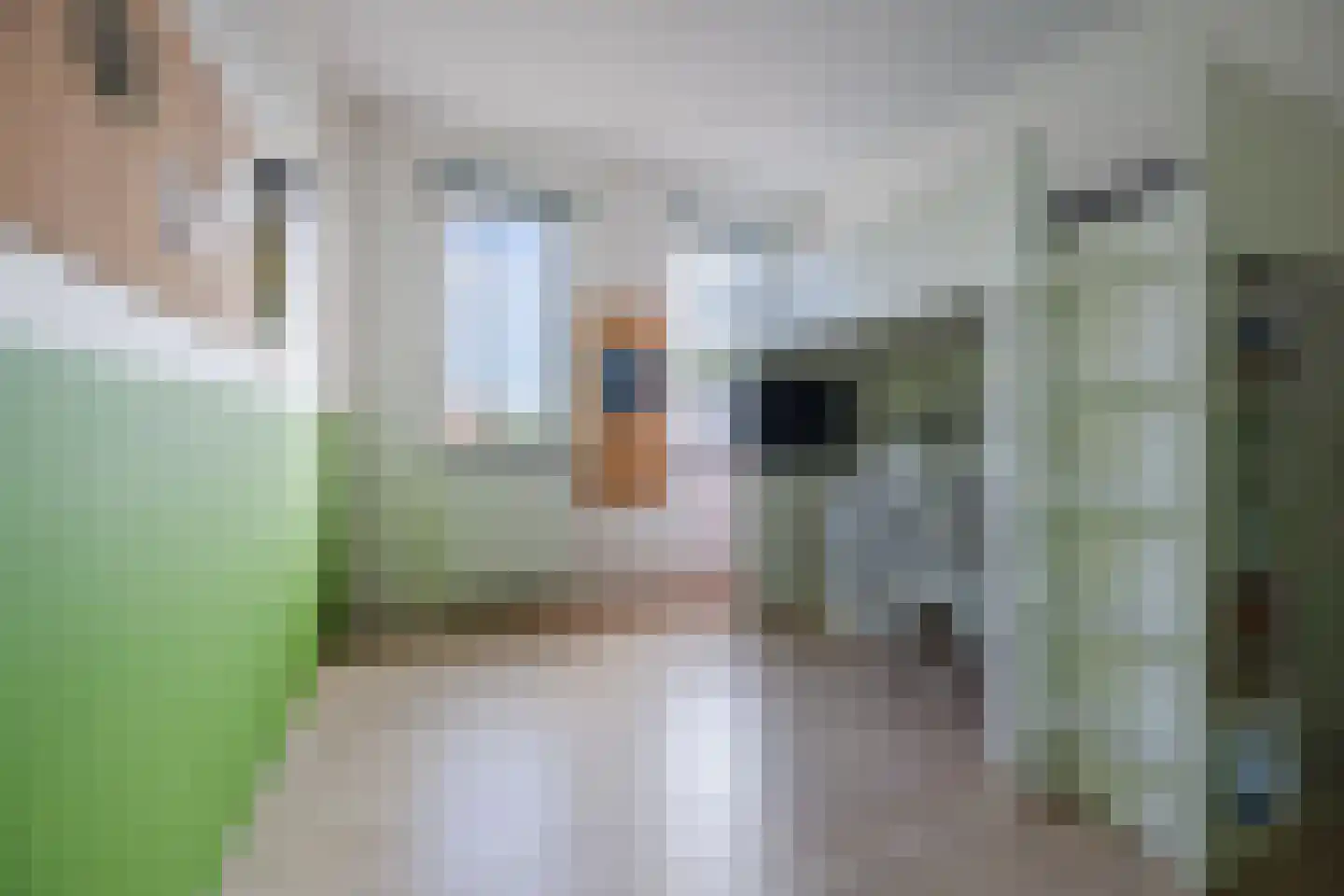 Geversstraat 8 Oegstgeest thumbnail 26