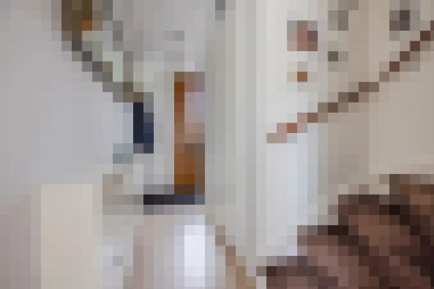 Geversstraat 8 Oegstgeest thumbnail 7