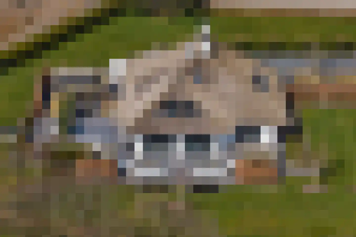 Geversweg 3 Castricum thumbnail 45