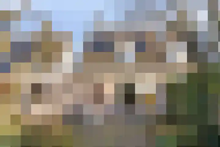 Gewandeweg 30 Oss thumbnail 38