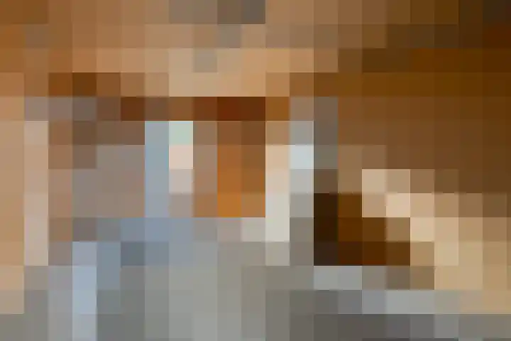 Gewandeweg 30 Oss thumbnail 39