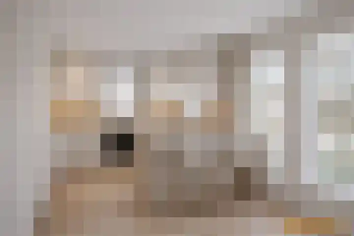 Gewandeweg 30 Oss thumbnail 5