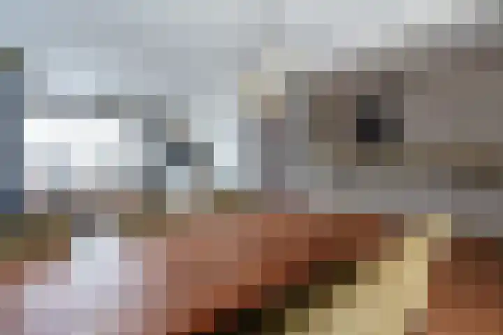 Gewandeweg 30 Oss thumbnail 9