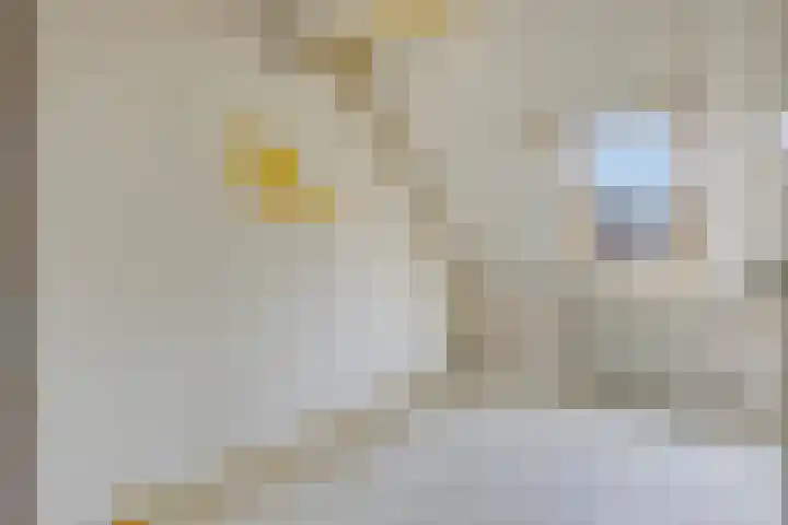 Gewandeweg 4 Oss thumbnail 19