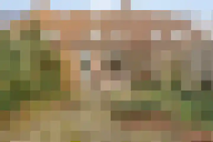 Gewandeweg 4 Oss thumbnail 30