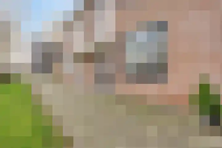 Gewandeweg 4 Oss thumbnail 5