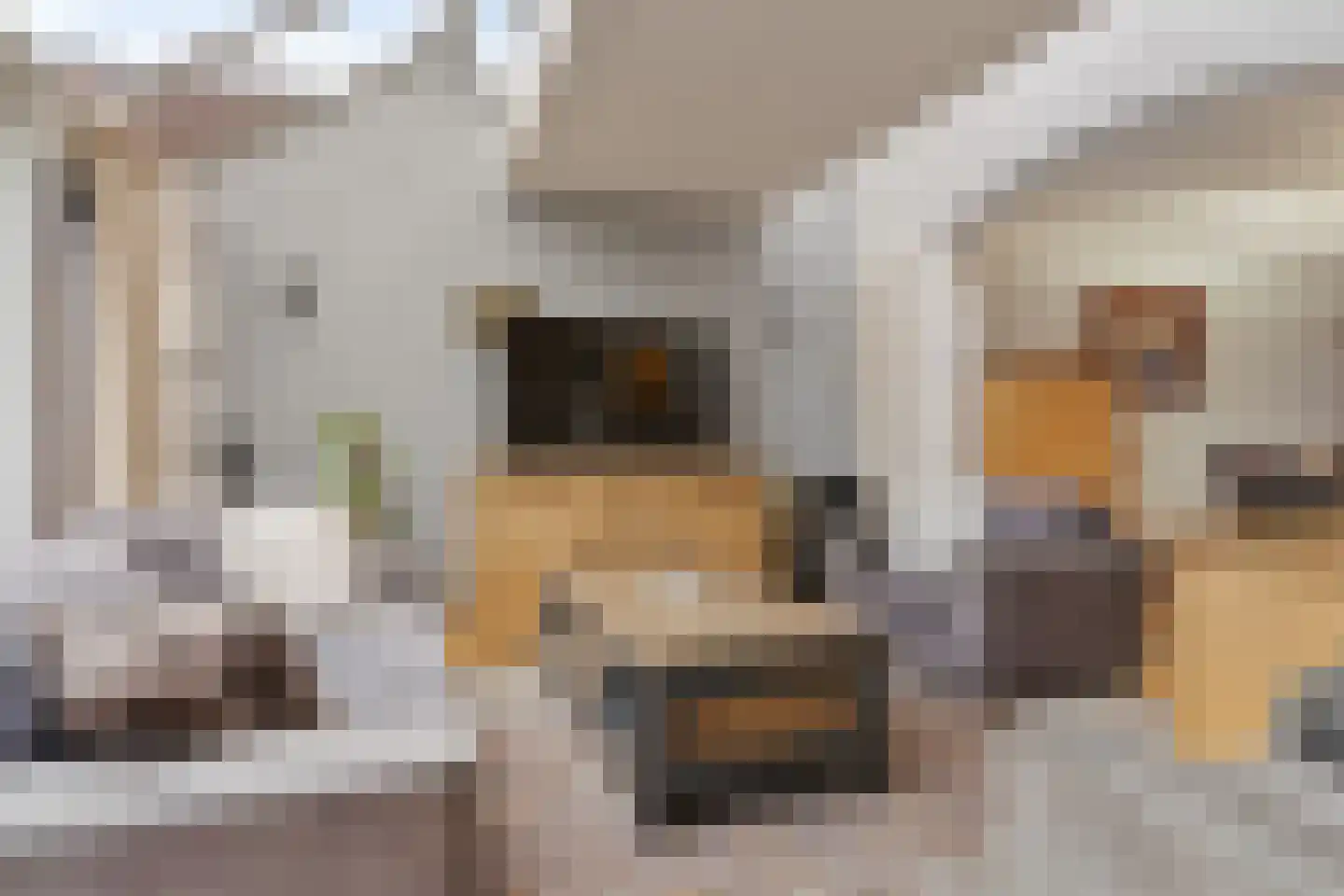 Gewandeweg 42 Oss thumbnail 16